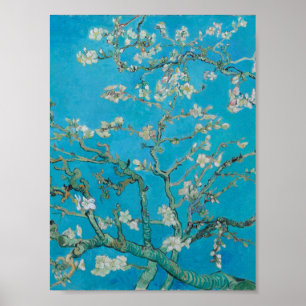 Vincent Van Gogh-Grenar med Almond Blommar Poster