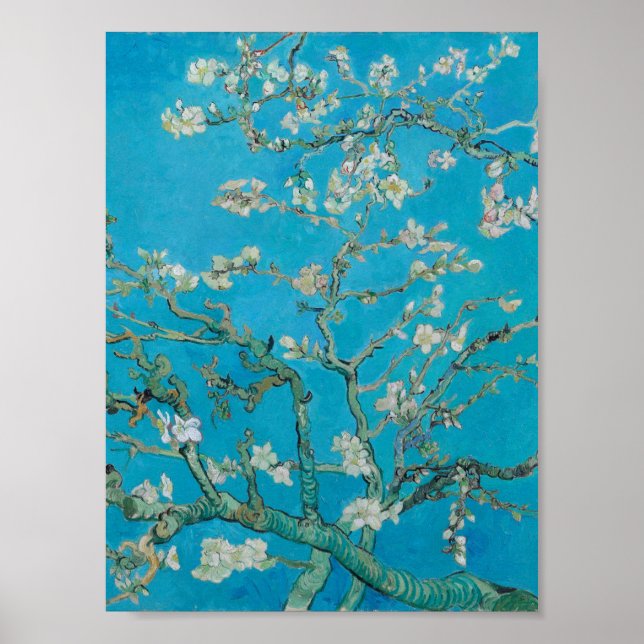 Vincent Van Gogh-Grenar med Almond Blommar Poster (Framsidan)