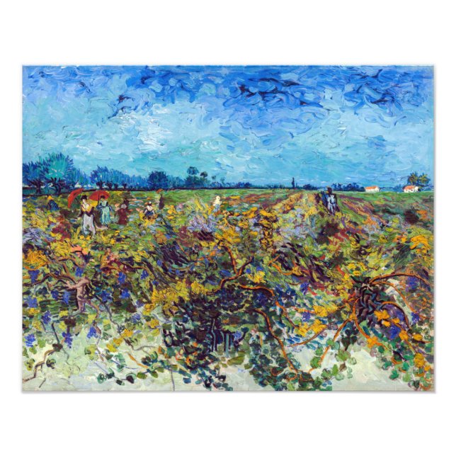 Vincent van Gogh - Grön vingård Fototryck (Framsidan)