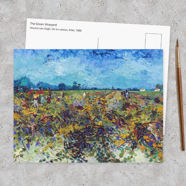 Vincent van Gogh - Grön vingård Vykort (Skapare uppladdad)
