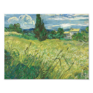 Vincent van Gogh - Grönt Fält Fototryck