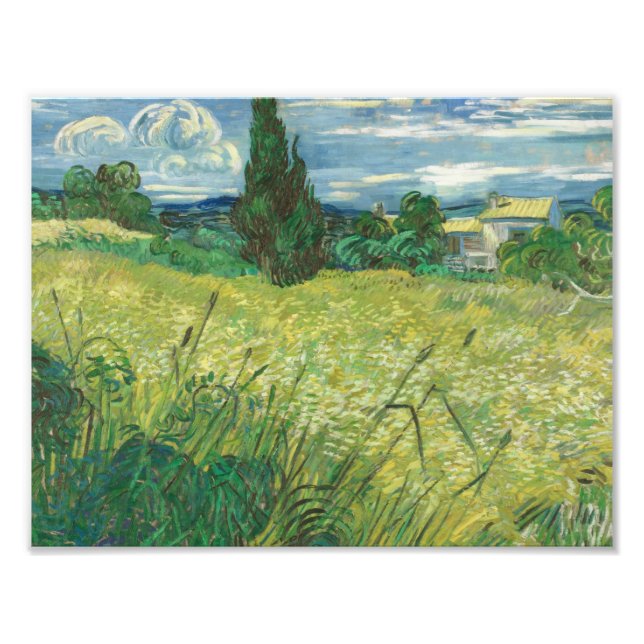 Vincent van Gogh - Grönt Fält Fototryck (Framsidan)