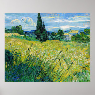 Vincent van Gogh - Grönt Wheat Fält med Cypress Poster