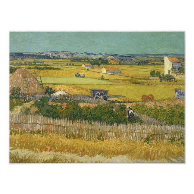 Vincent van Gogh - Harvest Fototryck (Framsidan)
