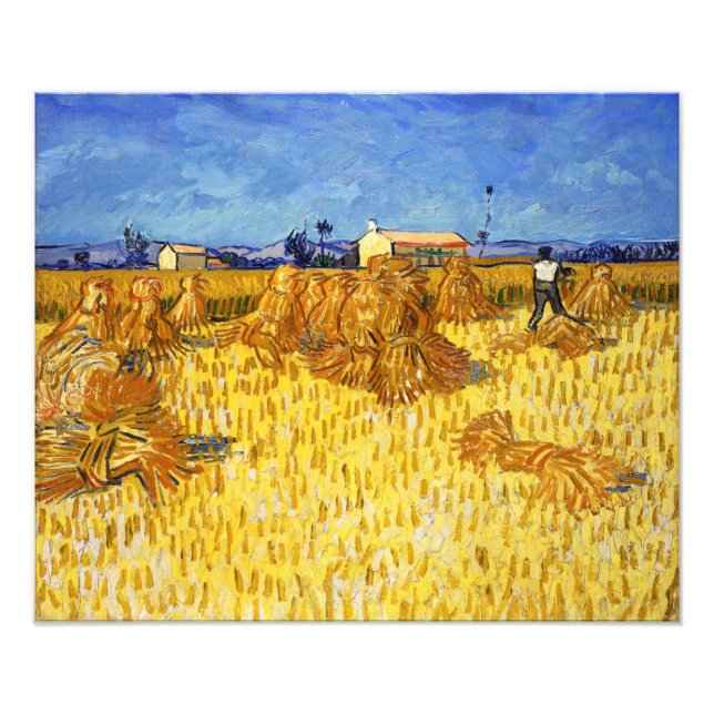 Vincent van Gogh - Harvest in Provence Fototryck (Framsidan)
