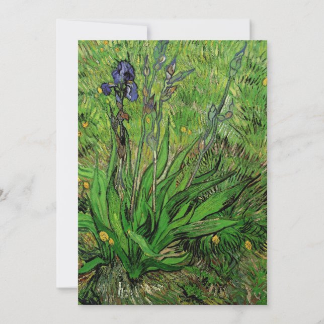 Vincent van Gogh - Iris (Framsida)