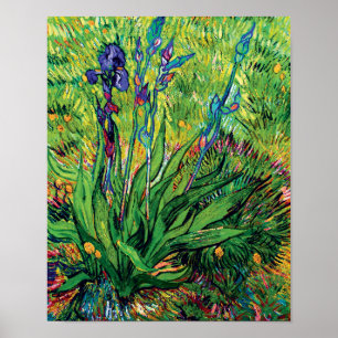 Vincent Van Gogh - Iris - Blomsterälskare Popkonst Poster