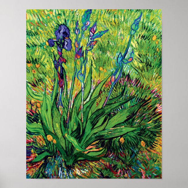Vincent Van Gogh - Iris - Flower Älskare Pop Art Poster (Framsidan)