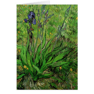 Vincent van Gogh - Iris Hälsningskort