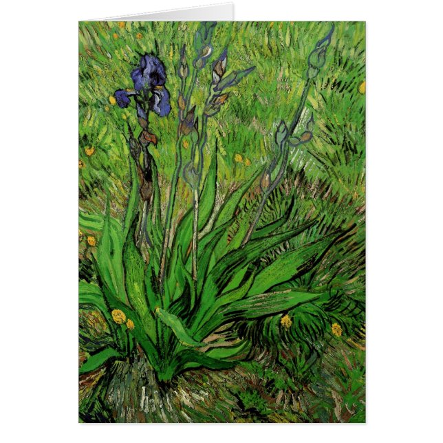 Vincent van Gogh - Iris Hälsningskort (Framsidan)