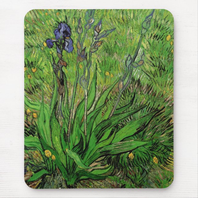 Vincent van Gogh - Iris Musmatta (Framsidan)