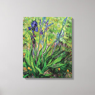 Vincent Van Gogh - Iris Naturälskaren Finkonst Canvastryck