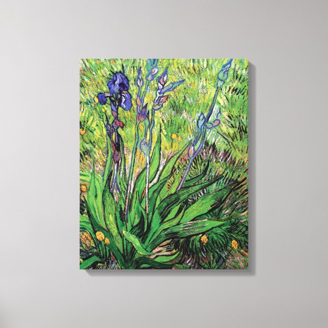 Vincent Van Gogh - Iris Naturälskaren Finkonst Canvastryck (Framsida)