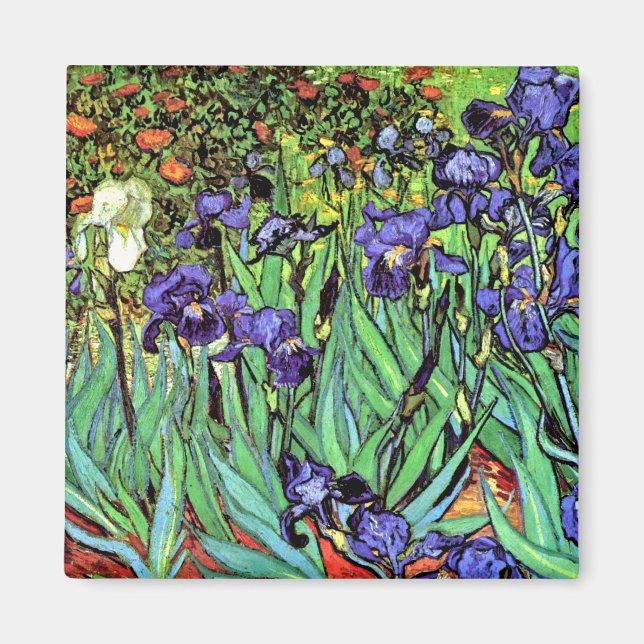Vincent Van Gogh - Irisar - Flower Lover Fine Art Magnet (Framsidan)