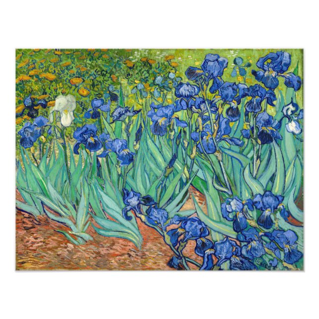 Vincent Van Gogh - Irisar Fototryck (Framsidan)