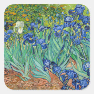 Vincent Van Gogh - Irisar Fyrkantigt Klistermärke