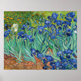 Vincent Van Gogh - Irisar Poster