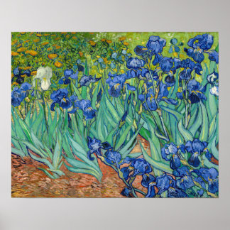 Vincent Van Gogh - Irisar Poster
