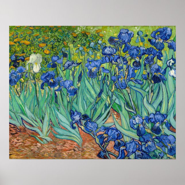 Vincent Van Gogh - Irisar Poster (Framsidan)