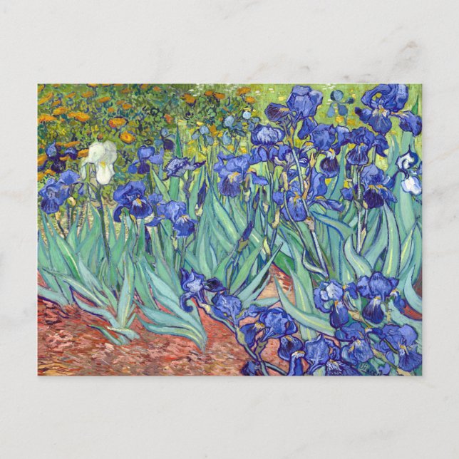 Vincent van Gogh Irisar Vykort (Framsida)