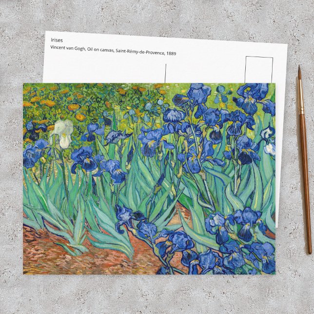 Vincent Van Gogh - Irisar Vykort (Skapare uppladdad)