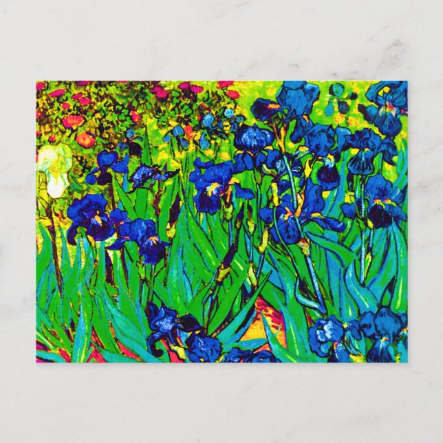 Vincent Van Gogh - Iriser - Blomsterälskare Popkon Vykort (Framsida)