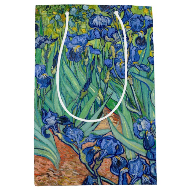 Vincent Van Gogh - Irises (Framsidan)
