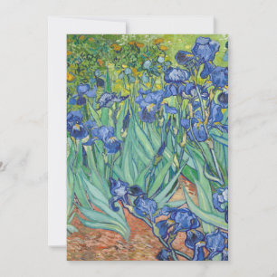 Vincent Van Gogh - Irises 1889