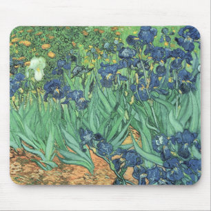 Vincent Van Gogh   Irises, 1889 Musmatta