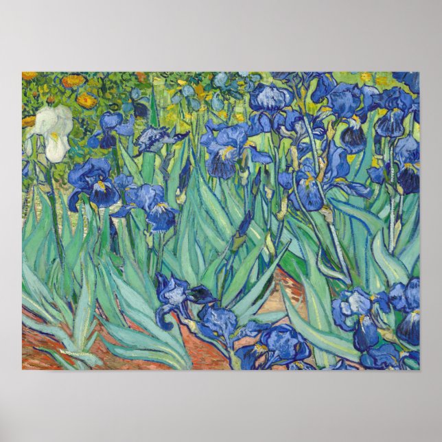 Vincent Van Gogh - Irises 1889 Poster (Framsidan)