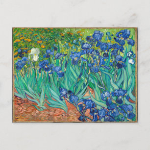 VINCENT VAN GOGH - Irises 1889 Vykort