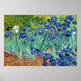 Vincent van Gogh - Irises - Berömd Art Poster