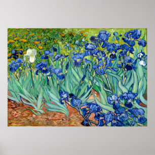 Vincent van Gogh - Irises - Berömd Art Poster