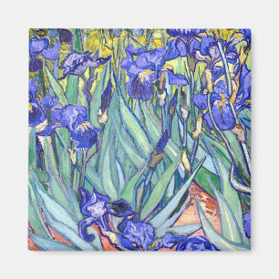 Vincent Van Gogh Irises Blommigt Vintage Fine Art Magnet