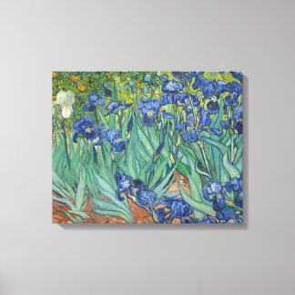 Vincent van Gogh - Irises Canvastryck