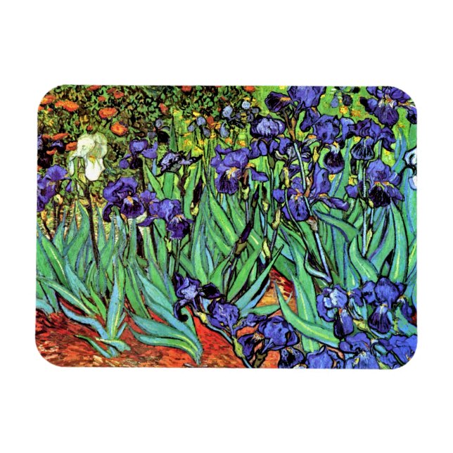 Vincent Van Gogh - Irises - Flower Älskare Fine Ar Magnet (Horisontell)