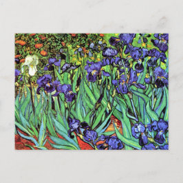 Vincent Van Gogh - Irises - Flower Älskare Fine Ar Vykort