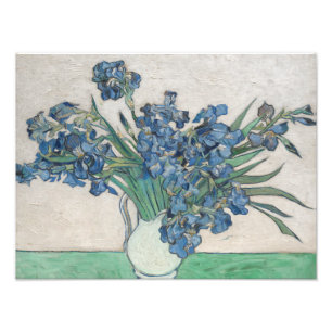 Vincent van Gogh - Irises Fototryck