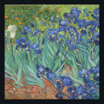 Vincent Van Gogh - Irises Fototryck<br><div class="desc">Vincent Van Gogh - Irises</div>