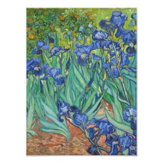 Vincent Van Gogh - Irises Fototryck