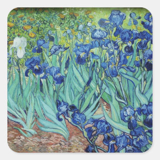 Vincent van Gogh Irises Fyrkantigt Klistermärke