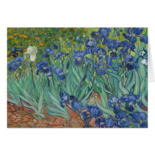 Vincent van Gogh - Irises Hälsningskort (Framsidan Horizontal)
