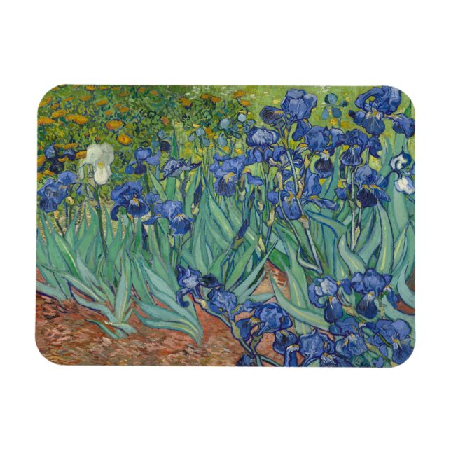 Vincent Van Gogh, Irises, Les Iris Magnet (Horisontell)