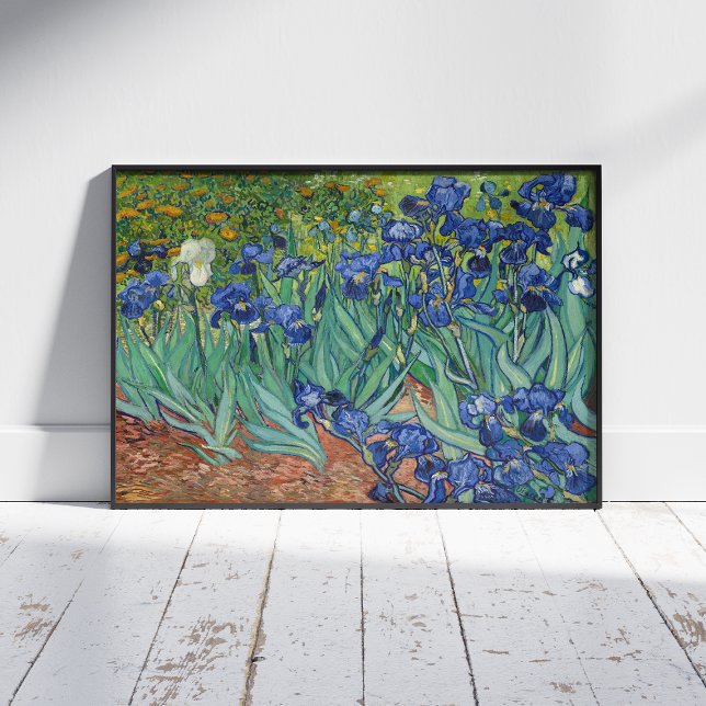 Vincent Van Gogh, Irises, Les Iris Poster (Skapare uppladdad)