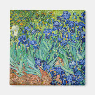 Vincent Van Gogh - Irises Magnet