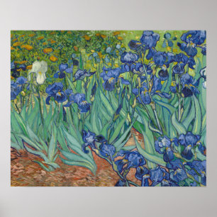 Vincent Van Gogh - Irises Poster