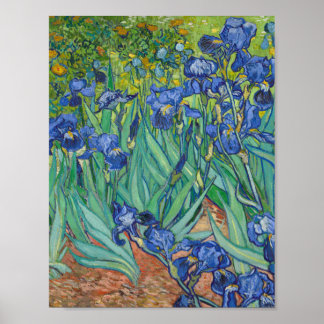 Vincent Van Gogh - Irises Poster