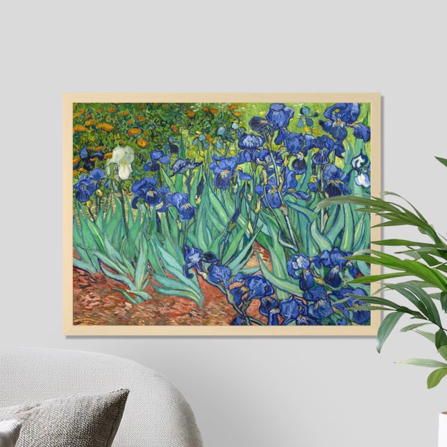 Vincent Van Gogh Irises Poster (Skapare uppladdad)