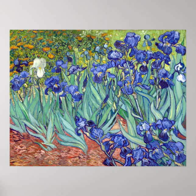 Vincent van Gogh Irises Poster (Framsidan)