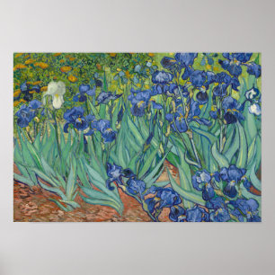 Vincent van Gogh - Irises Poster